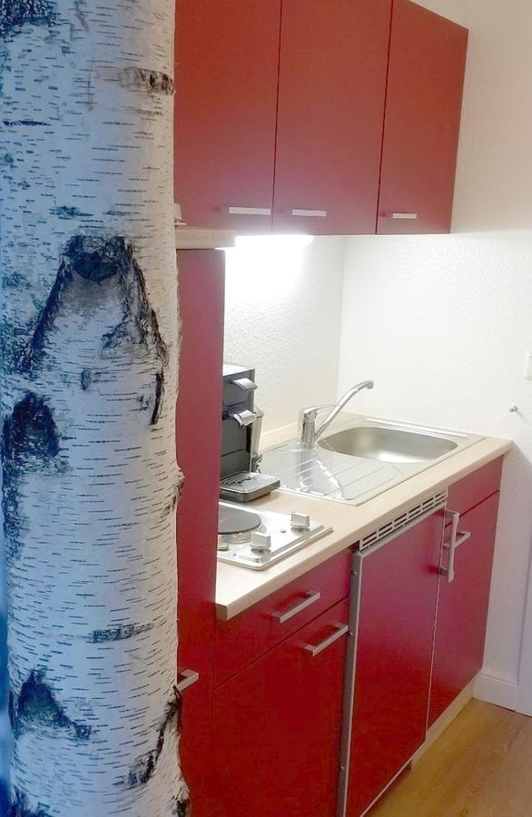 Henne Hahnenklee Apartment กอสลาร์ ภายนอก รูปภาพ