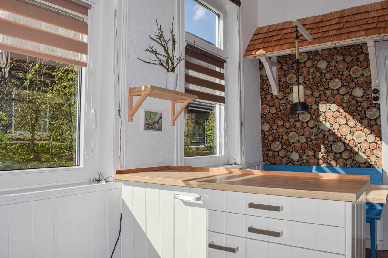 Henne Hahnenklee Apartment กอสลาร์ ภายนอก รูปภาพ